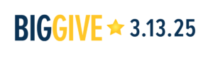 Big Give logo