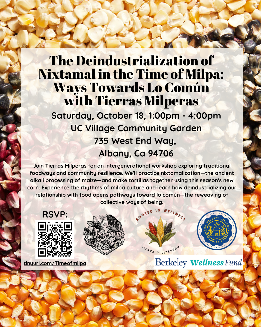 Workshop flyer with colorful corn kernels background. The header reads "The Deindustrialization of Nixtamal in the Time of Milpa: Ways Towards Lo Común with Tierras Milperas" in bold black text. Below lists Saturday, October 18, 1:00pm - 4:00pm at UC Village Community Garden, 735 West End Way, Albany, CA 94706. Description text explains the intergenerational workshop exploring traditional foodways, nixtamalization process, and making tortillas together. Bottom shows RSVP with QR code, Tierras Milperas logo, Rooted in Wellness logo, UC Village Community Garden logo, Berkeley Wellness Fund logo, and URL tinyurl.com/Timeofmilpa.